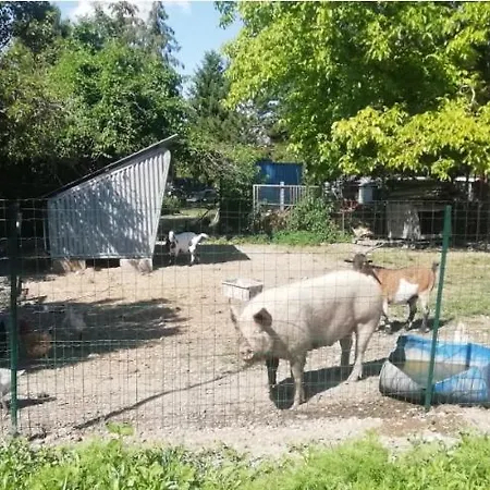 Villa L'Esprit De Famille Saint-Parres-les-Vaudes Esterno foto